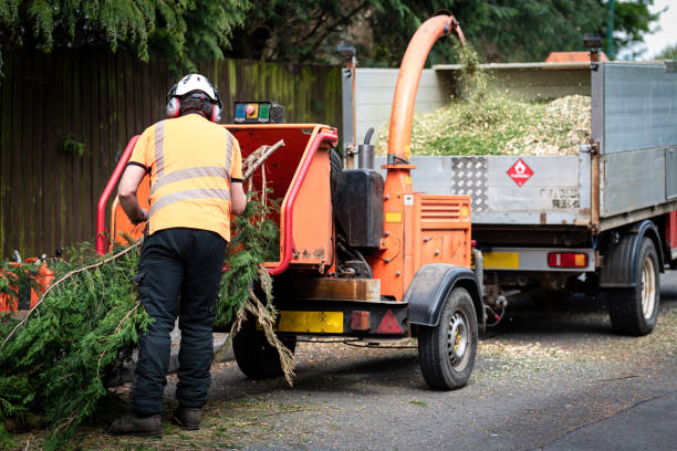 Organic Lawn Care Solutions in Talty, TX